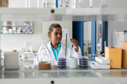Researcher Working With Sample In Lab