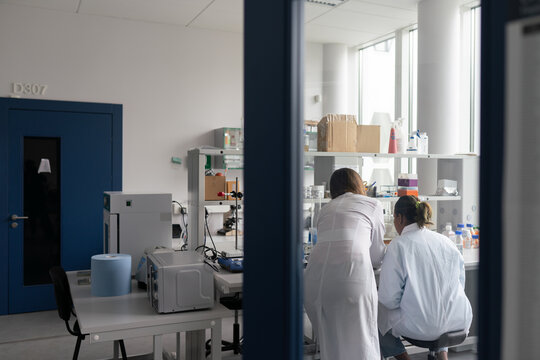 Scientists Working Together At Spacious Modern Lab