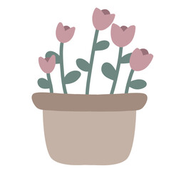 Five stems of tulips in a pot