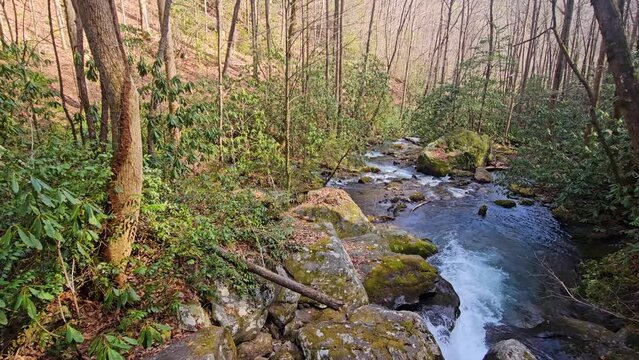 panning footage of the rushing waters of Smith Creek with rocks and lush green trees and plants at Anna Ruby Falls in Helen Georgia USA