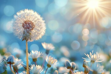 A dandelion is the main focus of the image, surrounded by other flowers - obrazy, fototapety, plakaty