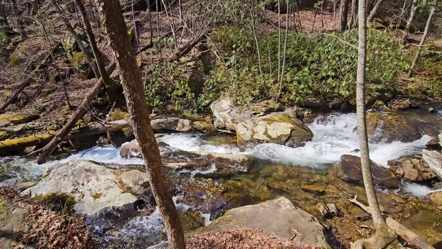 panning footage of the rushing waters of Smith Creek with rocks and lush green trees and plants at Anna Ruby Falls in Helen Georgia USA