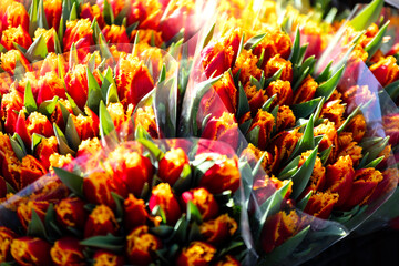 Świeże kwiaty na Dzień Kobiet na targu w Warszawie
