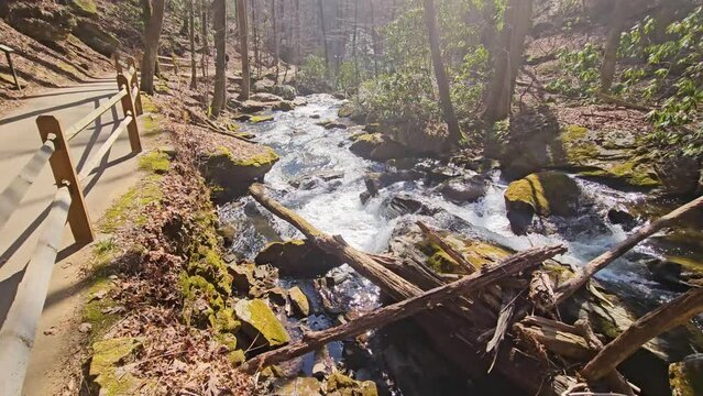 tilt footage of the rushing waters of Smith Creek with rocks and lush green trees and plants at Anna Ruby Falls in Helen Georgia USA