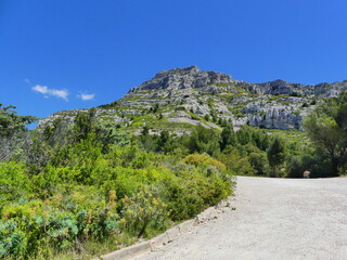 Randonnée dans les Calanques à Marseille