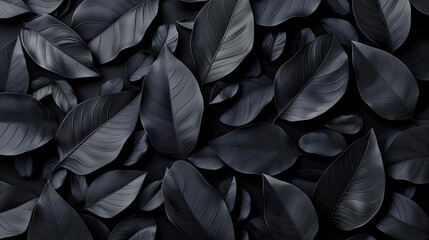 Textures Of Abstract Black Leaves For Tropical Leaf Background. Flat Lay, Dark Nature Concept, Tropical Leaf, 