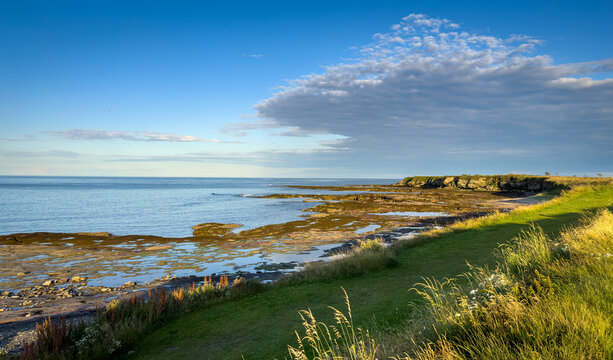 Coastal View