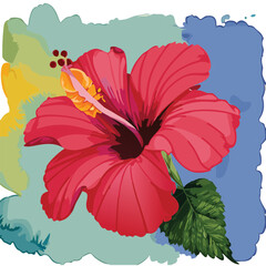 Watercolor, Vector, Hibiscus flower, Red tropical flower, Hibiscus rosa-sinensis, Floral illustration, Vibrant flower drawing, Botanical artwork, Exotic bloom