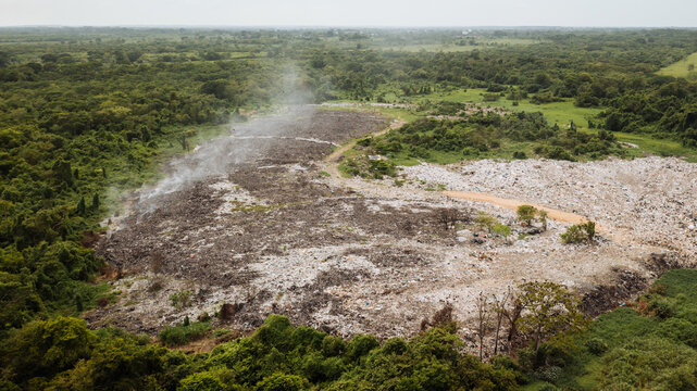 landfill in cleared rainforest