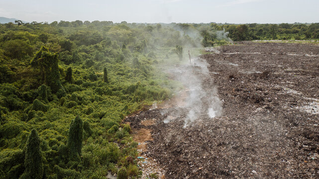 deforestation for a landfill