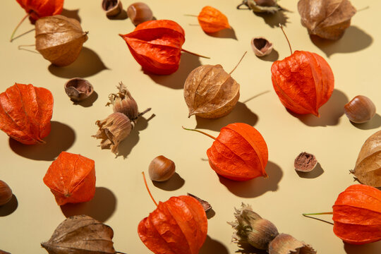 Autumn floral composition