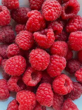 Delicious Red Raspberries 
