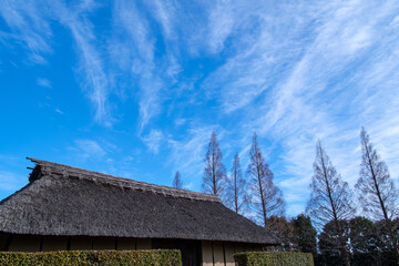 茅葺屋根と青空