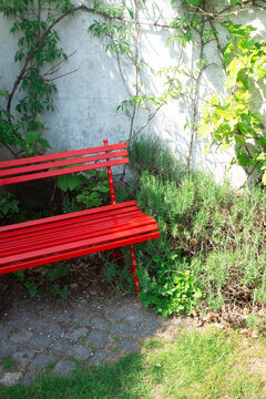 Red bench in a garden with ivy/vine/climber plants