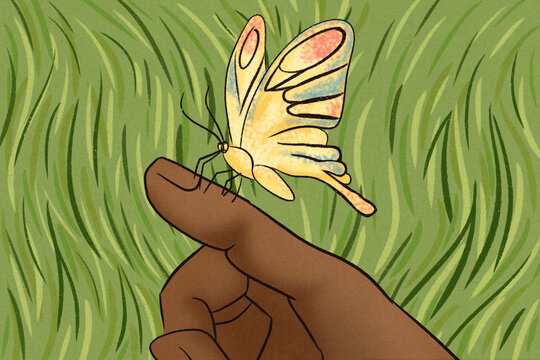 Insect Conservation 
