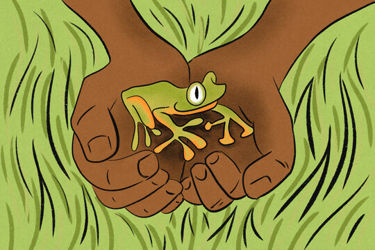 Endangered species conservation