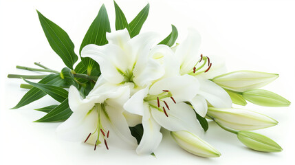 献花と祈り：白いユリ