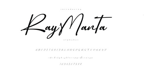 handwriting elegant script font alphabet
