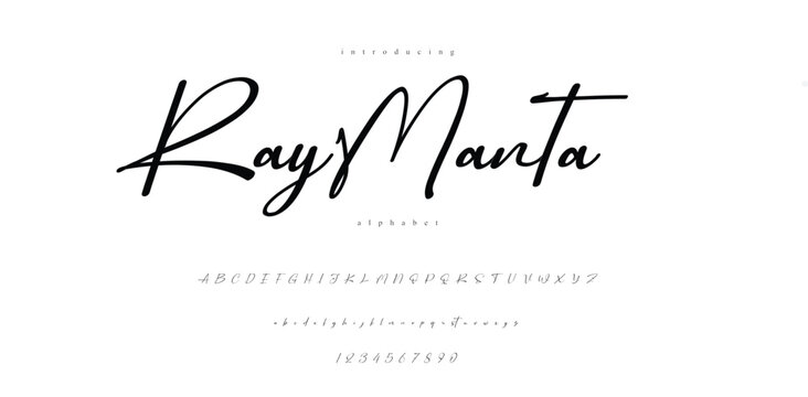 handwriting elegant script font alphabet
