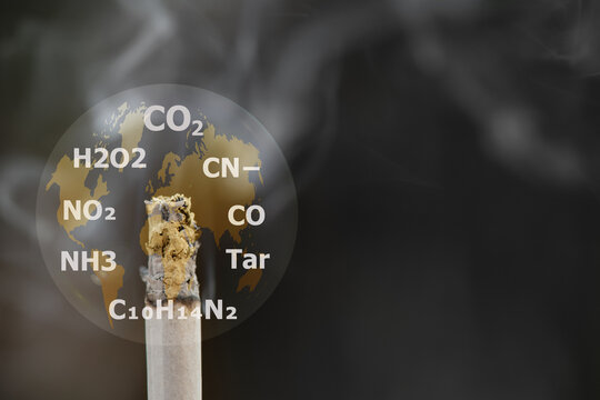Toxins in cigarettes on natural background.World No Tobacco Day concept.