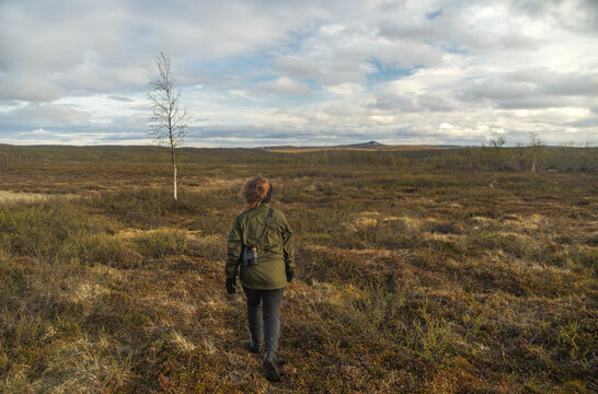 Hiker walking in a summer tundra landscape in finnmark, norway