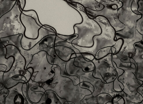Dark layers of overlapping black squiggly ink 