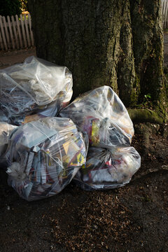 Trash plastic bags laying at the root of a old tree