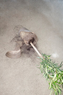 Fallen broken flower pot and plant with hard direct flashlight
