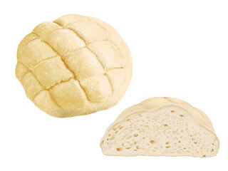 メロンパン（1個と断面）