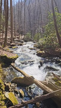 footage of the rushing waters of Smith Creek with rocks and lush green trees and plants at Anna Ruby Falls in Helen Georgia USA