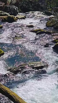  footage of the rushing waters of Smith Creek with rocks and lush green trees and plants at Anna Ruby Falls in Helen Georgia USA