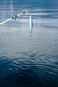 Fish bait dangling over water