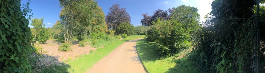 Vue panoramique du parc