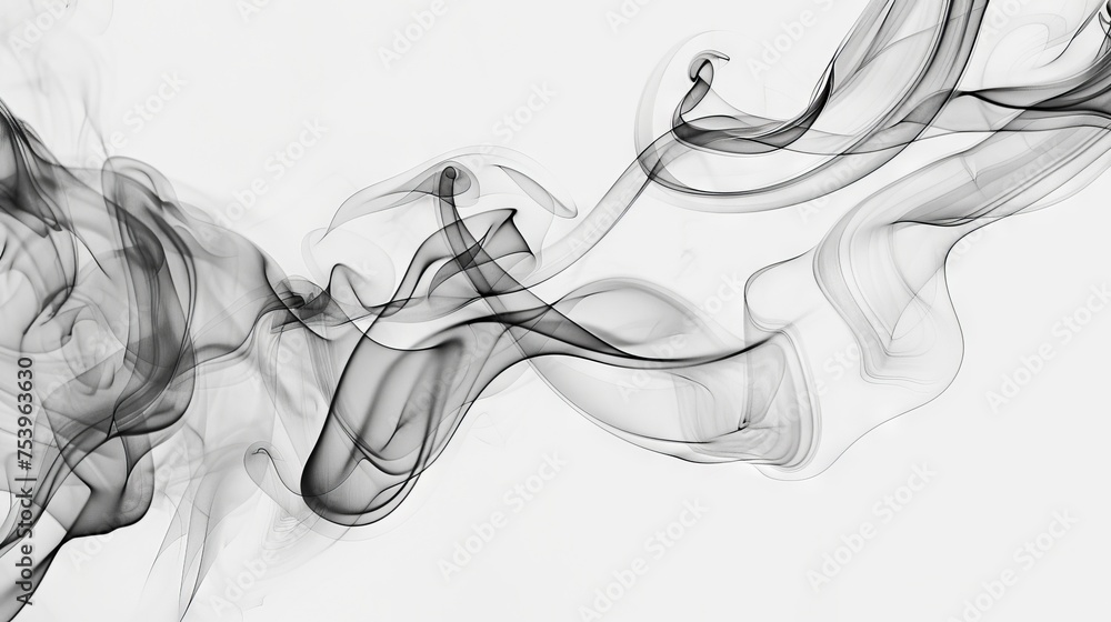 Wall mural Whirling grey and black smoke patterns against a white background - Wall murals