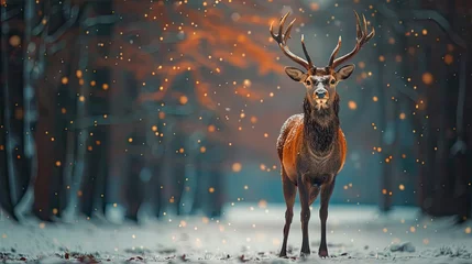 Fototapete Rund noble deer male in snow forest winter landscape christmas background  © hisilly