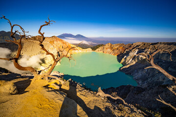 Deadwood Leafless Tree with Turquoise Water Lake,Beautiful nature Landscape mountain and green lake at Kawah Ijen volcano,East Java, Indonesia - obrazy, fototapety, plakaty