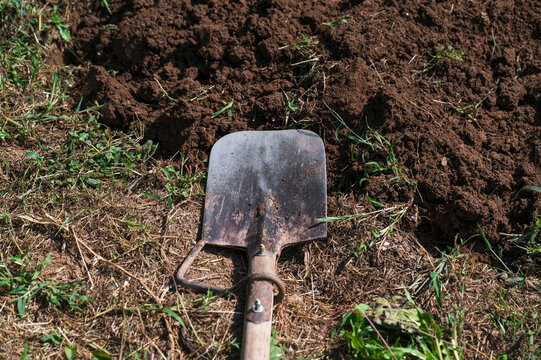 Shovel to dig the garden