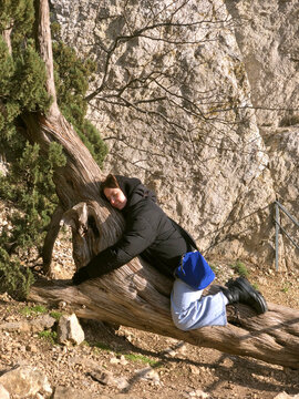 Tree hug