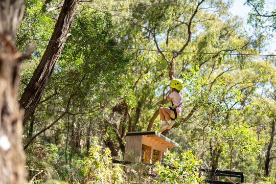 A kid on a zippy line at a tree climbing park.