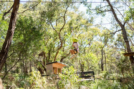 A kid on a zippy line at a tree climbing park.