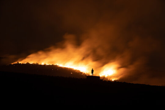 Forest burning at night 