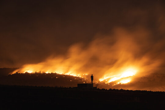 Forest burning at night 