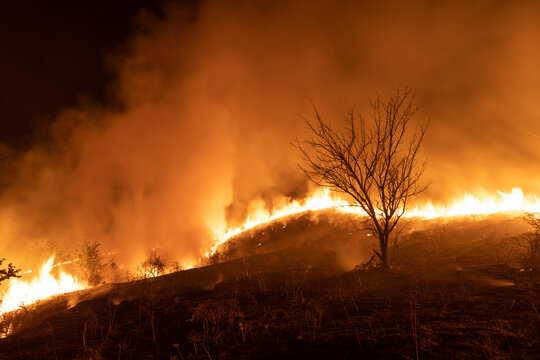 Field burning at night 