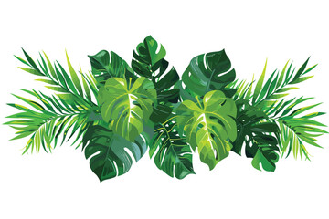 Tropical vines vegetation isolated vector style