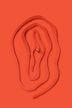 Female vagina with piercing on clitoris made of cut red paper