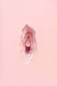 Pink layered paper cut in shape of female vagina
