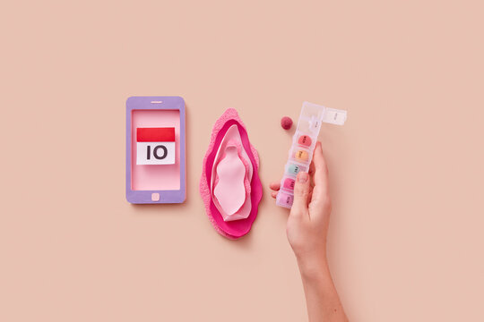 Female hand holding pill box near decorative vagina and smartphone
