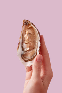 Fresh shucked oyster in female fingers over pink background