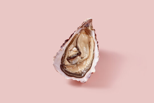 Open oyster with pearl in shell lying on pink background