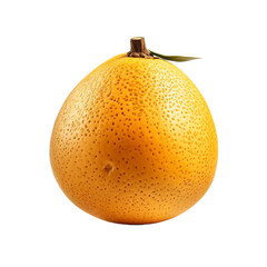 Zapote isolated on transpare nt background